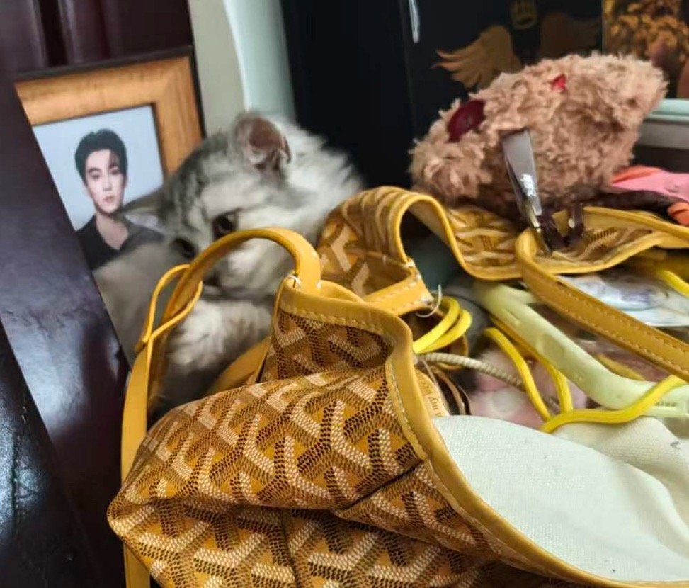 请问它咋了