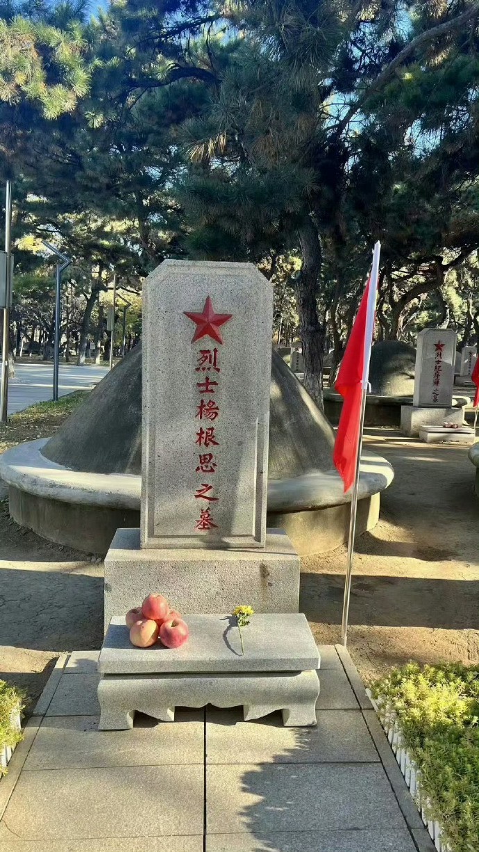 英雄们！这是祖国的阳光照在了你们的身上。 