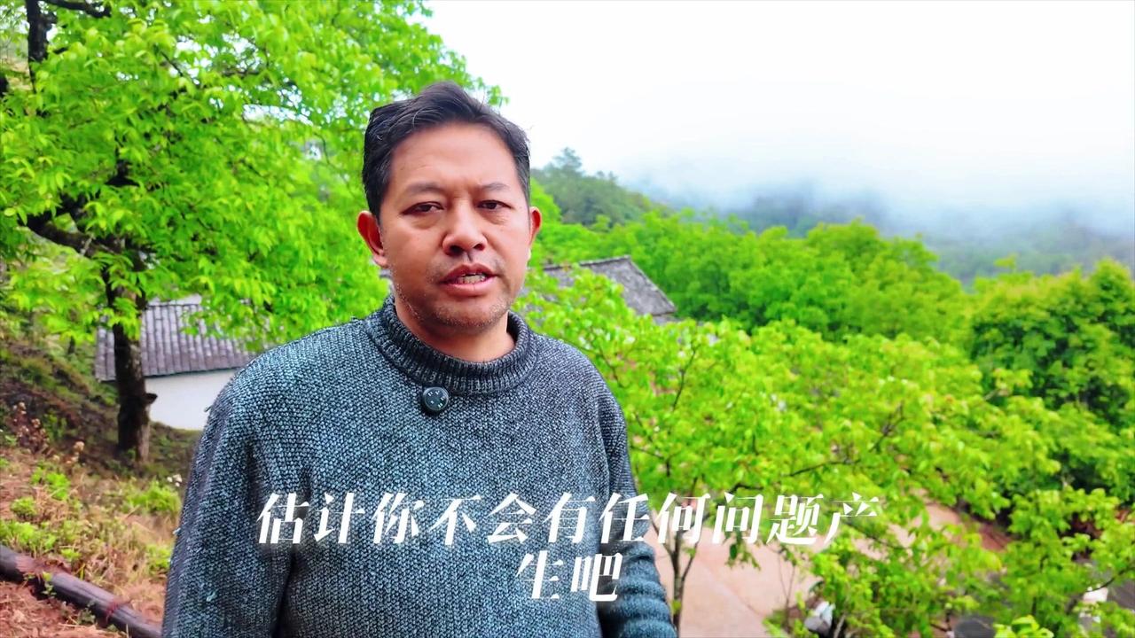 这里的环境真的绝了，雨后天晴云雾缭绕，漫过的绿色核桃林像仙境一般～站在云南省大理