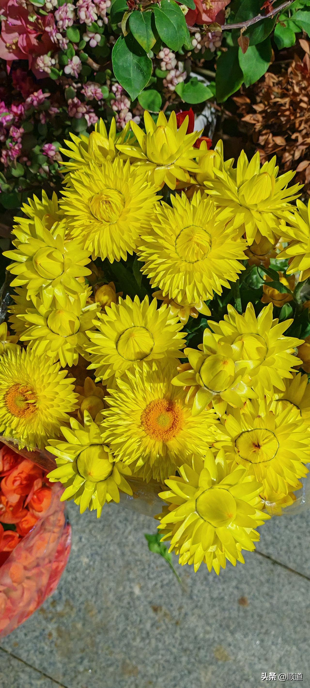 56岁大姐离异多年，女儿成家后，她得了两次眩晕症，她就觉得身边应该有个人了。
于