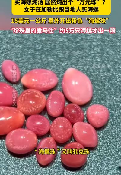 “赚大发了！”9月17日报道，一女子在加勒比海沿岸，跟当地人买海螺，打算拿回家炖