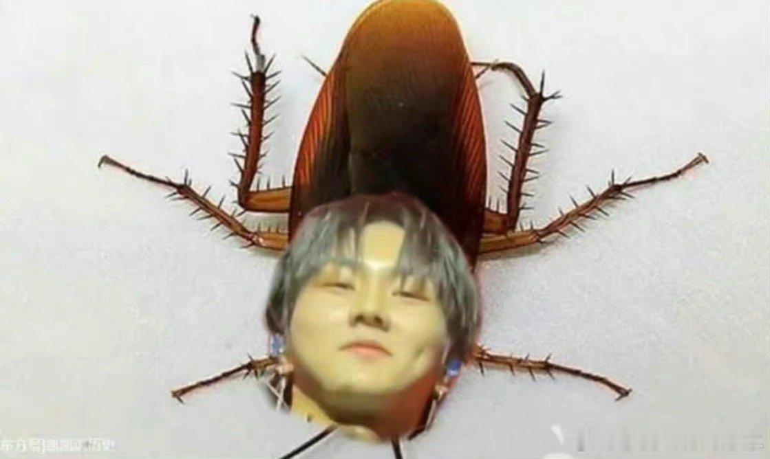 梁祯元先测个ss 