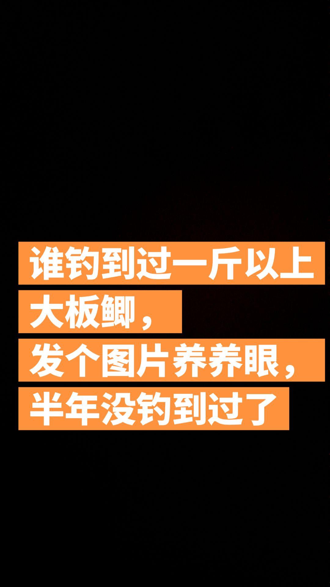 钓鱼佬永不空军