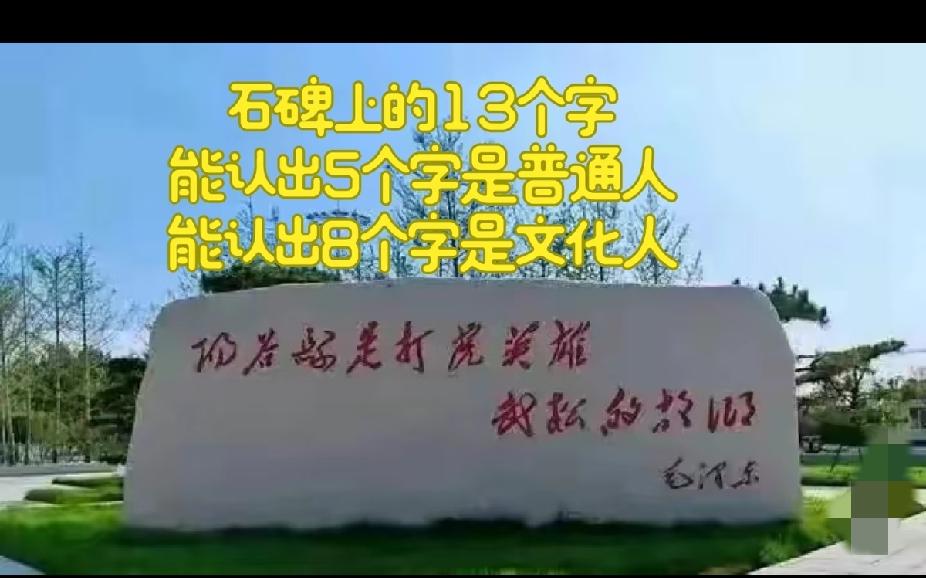 不是我吹！问了10个大学生了，都没问明这石碑上的字，我敢说！谁能一眼全部认出来，