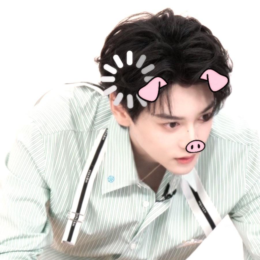 溅射蕾猪宇宙中：寻找一只小猪咪🐽 ​​​