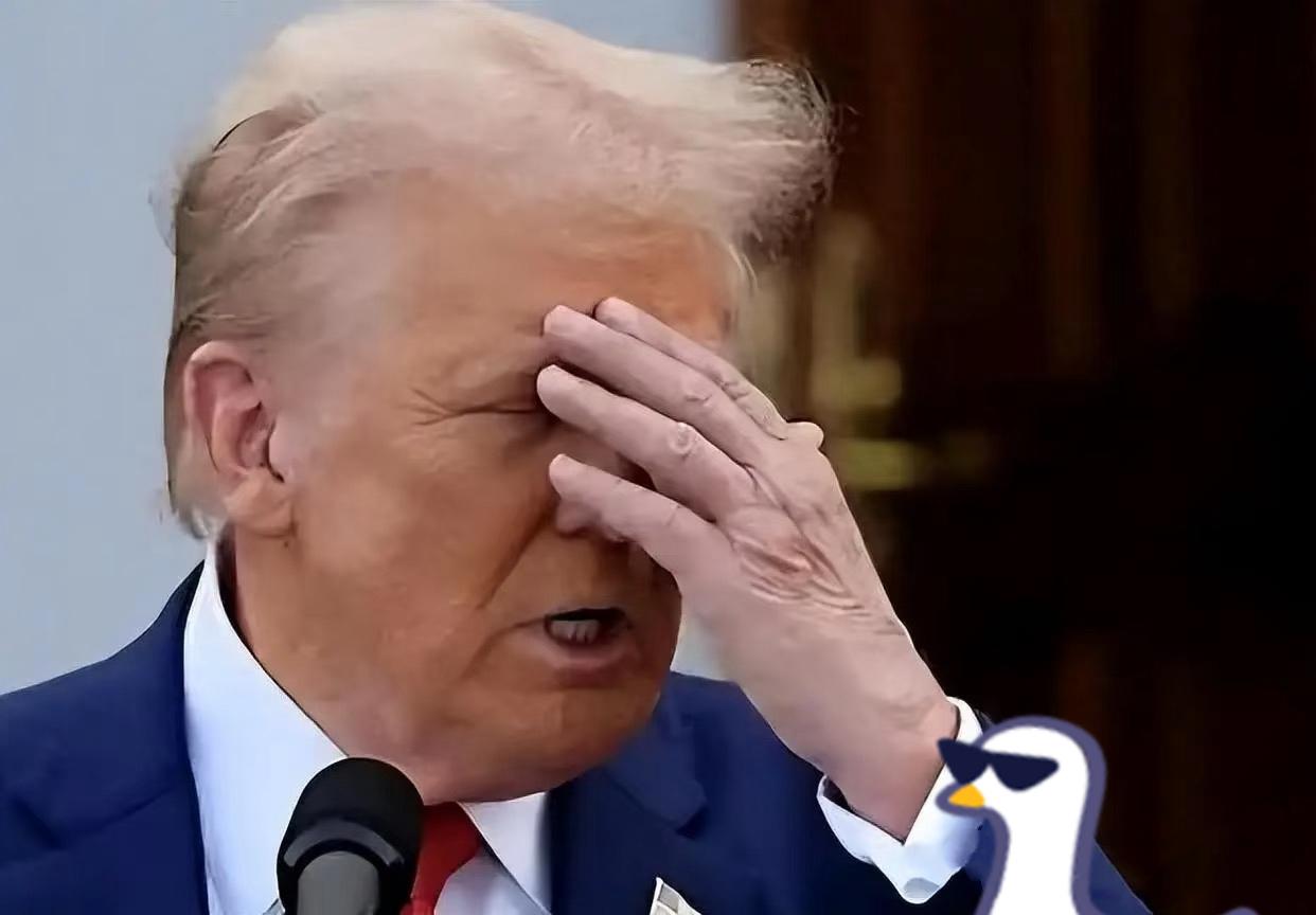 就在刚刚
美国突然宣布了！

2025年11月4日，美国联邦政府“停摆”进入第3