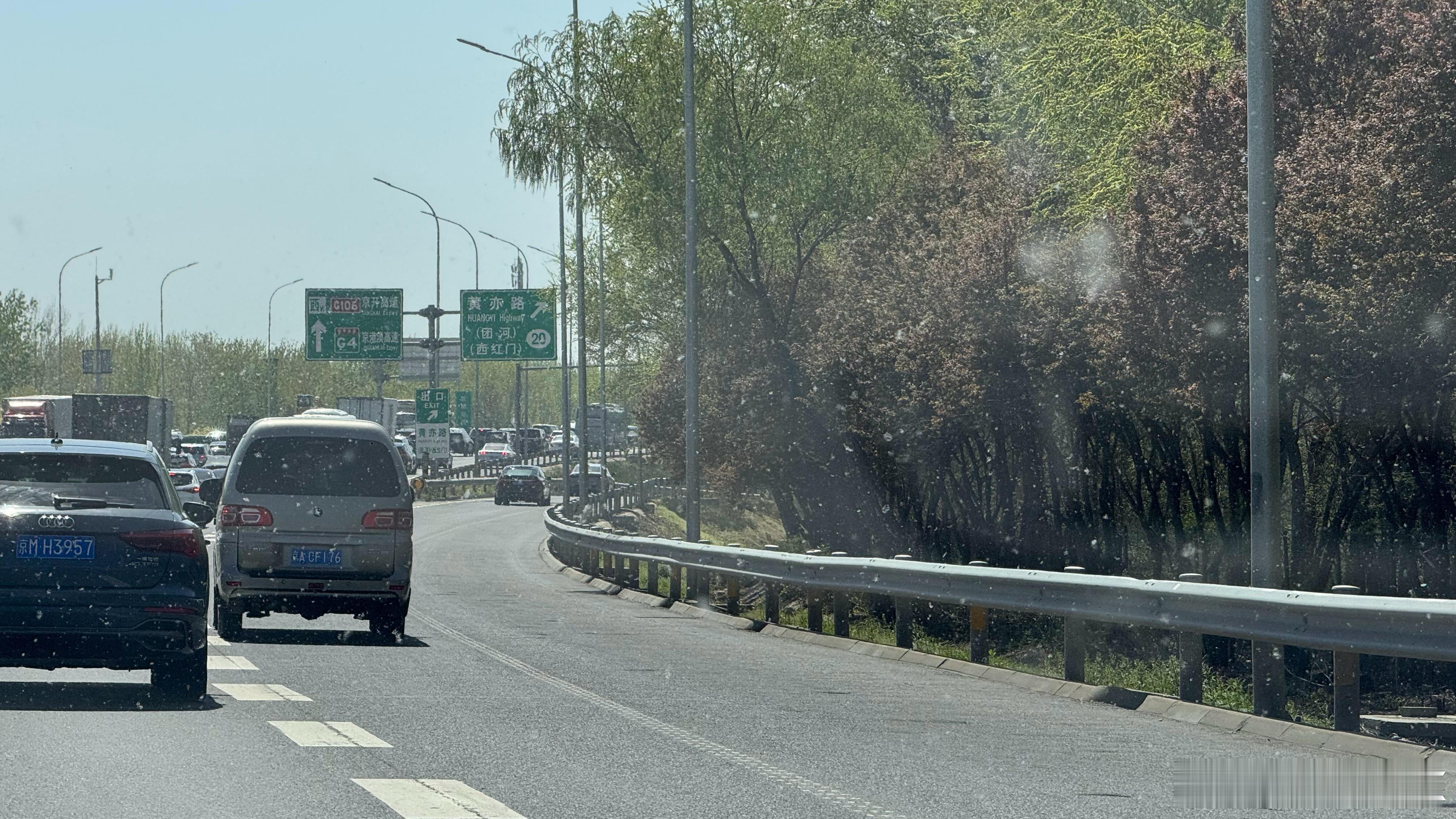 这些白花花满天飞的看图片很像雪花❄️飘飘但实际上都是柳絮…满天都是的感觉好难受，
