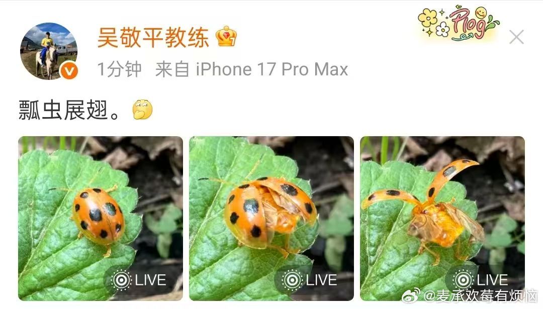 吴爸爸是懂玩梗的😂 ​​​