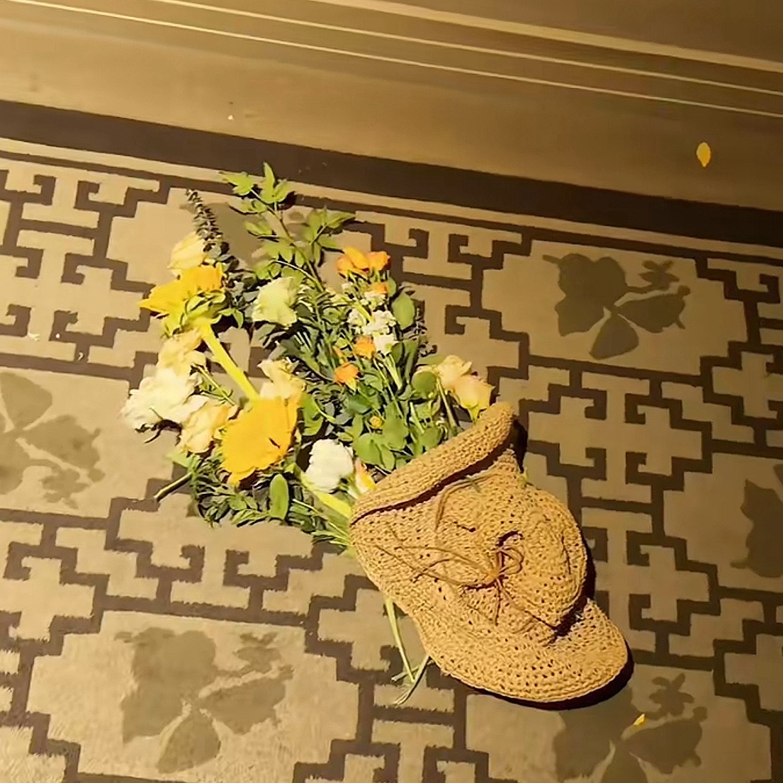 哪里来的女帽？哪里来的女帽？哪里来的女帽？哪里来的女帽？哪里来的女帽？哪里来的女