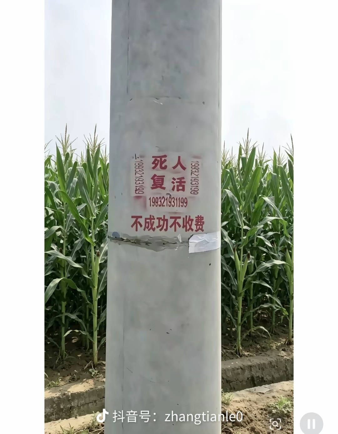 现在的人，广告打的真牛逼 