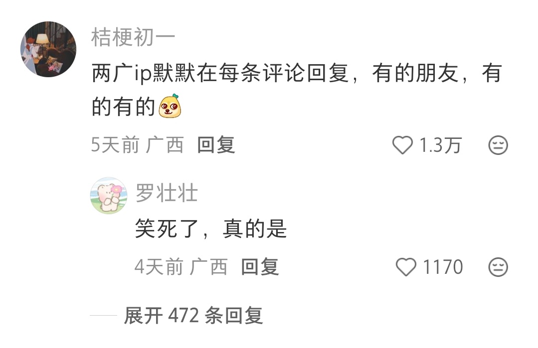 这个评论区笑死我了哈哈哈哈其他ip：xx，xX，XX两广：有的有的 