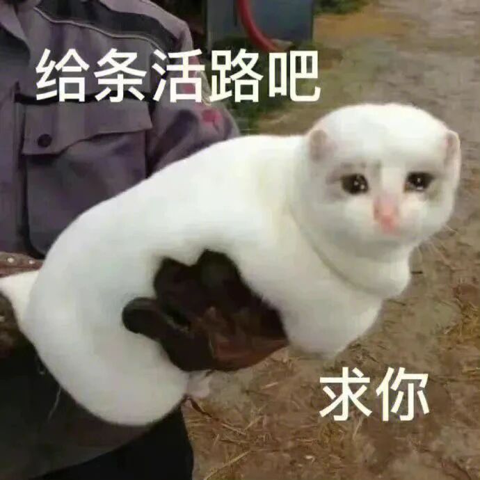 没人懂我此刻的心情，从此不再做赌徒[捂嘴哭] ​​​