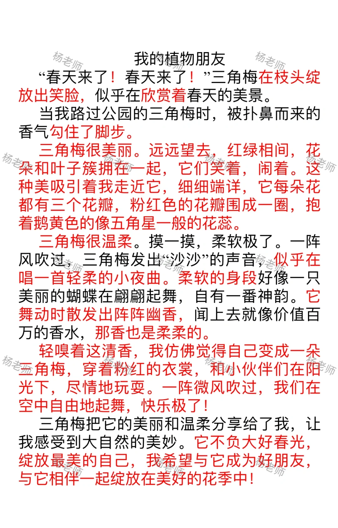 作文精修的模样（十）