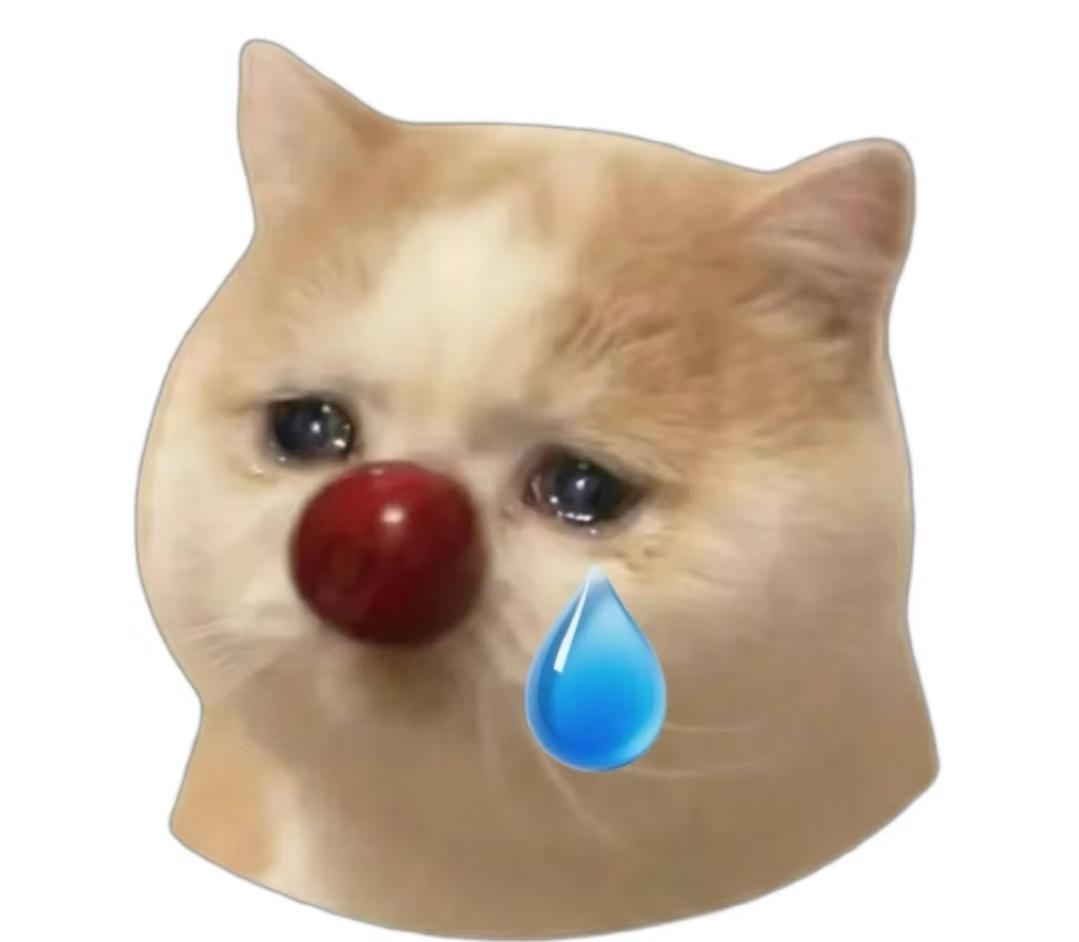 梅姨同居老汉说她曾带3名女孩回家申军良说梅姨一直真实存在申良军曾持梅姨偏瘦画像寻