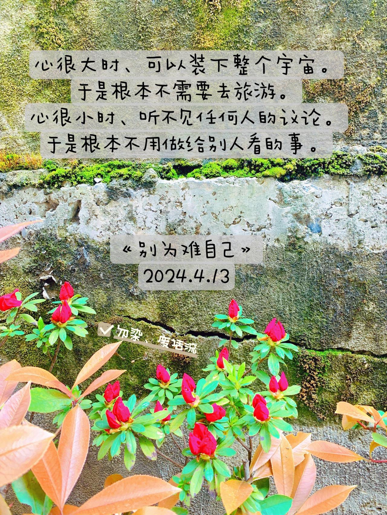 最爱的、其实是平安健康和自由……#图文扶持计划 #随笔 #文案 #原创 #随记 