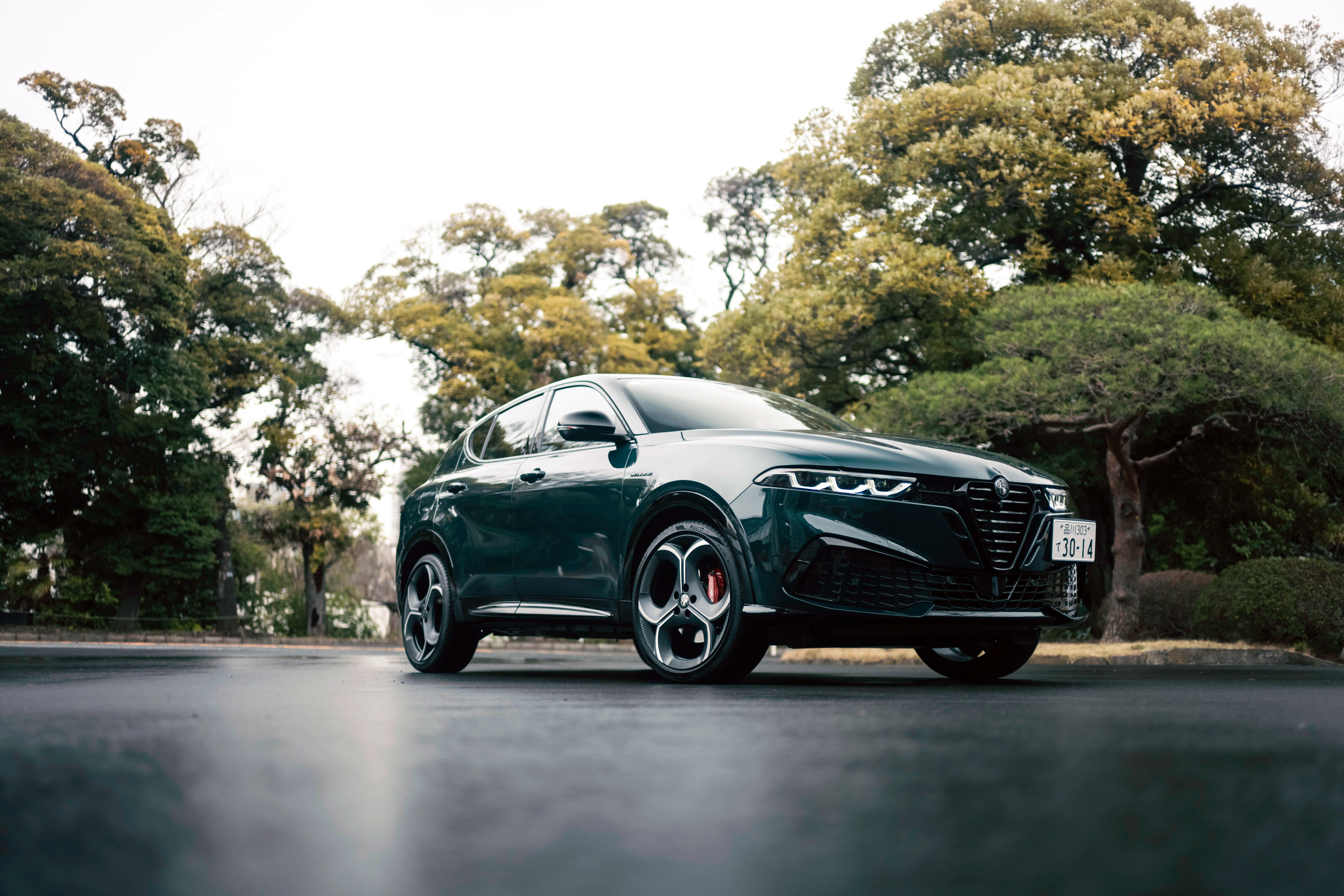 一天一张文艺照 新款托纳利Sport Speciale搭配这个绿色确实好看～ 