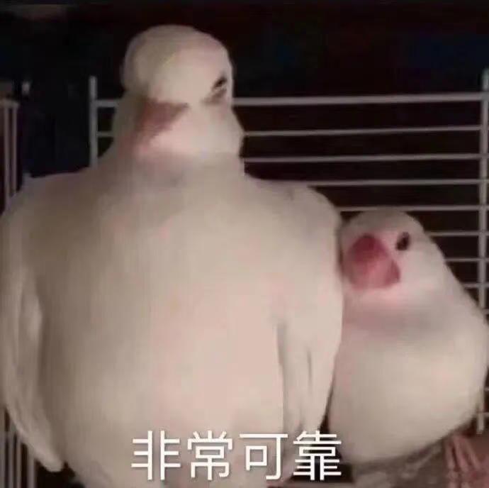 好的 哥哥 