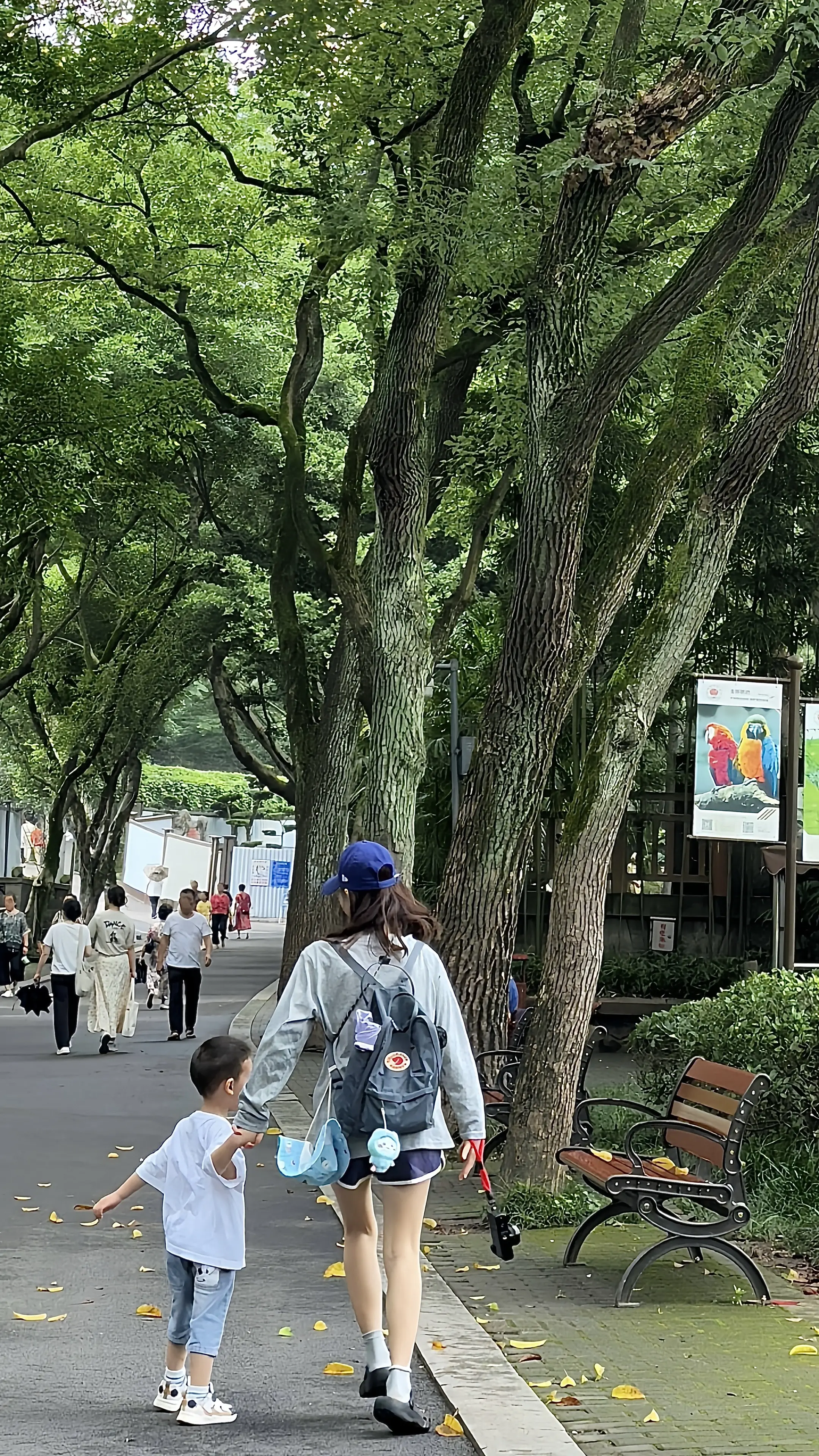 我学着不去担心的太远