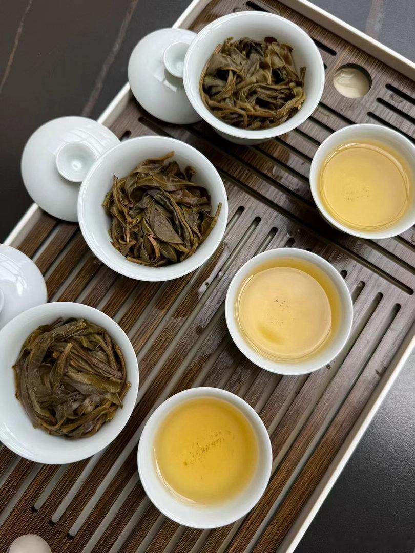 昨天试了5款勐库古树茶，选中3款，最后推荐2款给大家，因为地界价格太高了，我是盲
