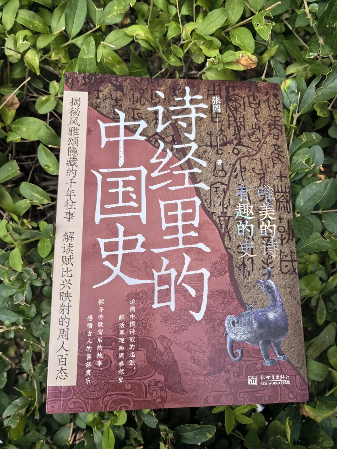 诗经里的中国史：在诗经中寻找中国史的痕迹