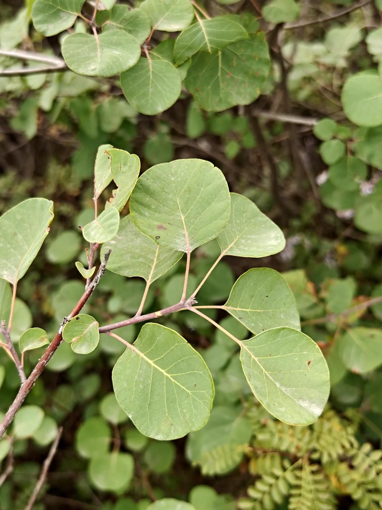 别跟人较劲，也别纠结谁对谁错，少掺和没用的事，把自己的小日子过好就行。
 
哪有