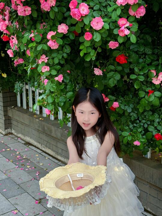 4.23芜湖实拍❗️芜湖家门口的蔷薇开花了🌸