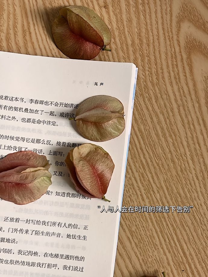 “不要羡慕干活麻利，什么都会的女孩，    你要知道 她吃了很多苦才什么都会。”