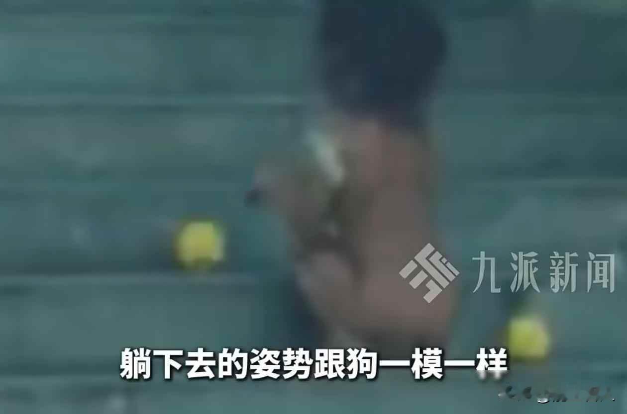 孩子赤身爬行高速服务区，父母拒沟通，真相让人沉默

10月16号，有人在雅西高速