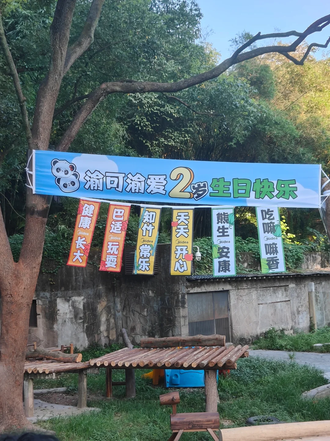 儿子女鹅，我来啦！