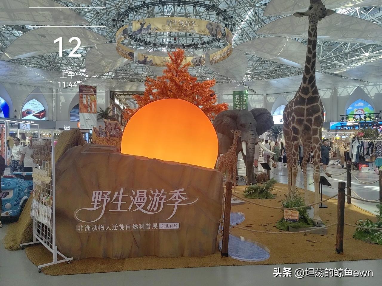 坐标吉林市，2026年8月14日上午08：25分，吉林市的中东新生活绝对是今年暑