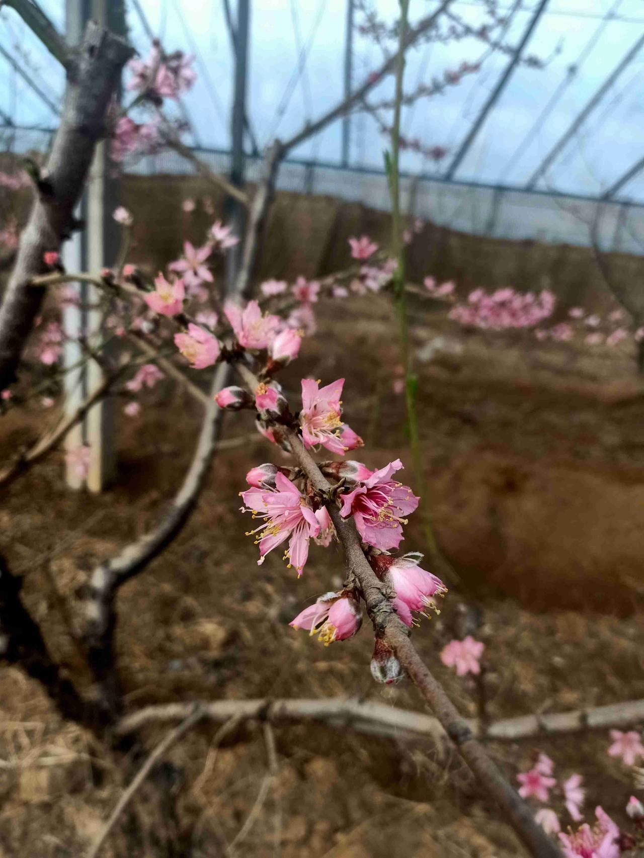 我的今日状态：😁轻松愉快
我这里的天气：🌤️多云