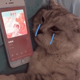怀真侃侃情感