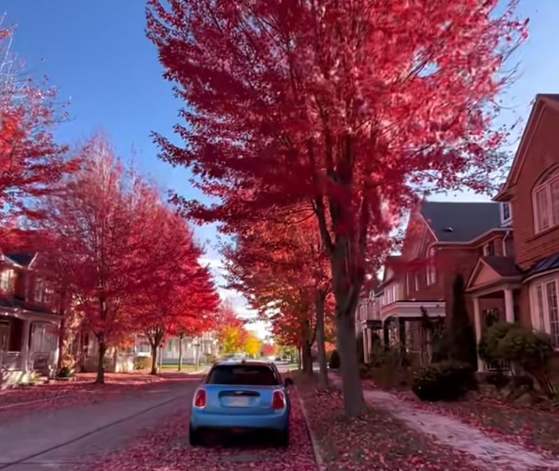 为什么大多数出轨回归者在3年内会复发？
89% 的出轨回归者在3年内重启婚外情，