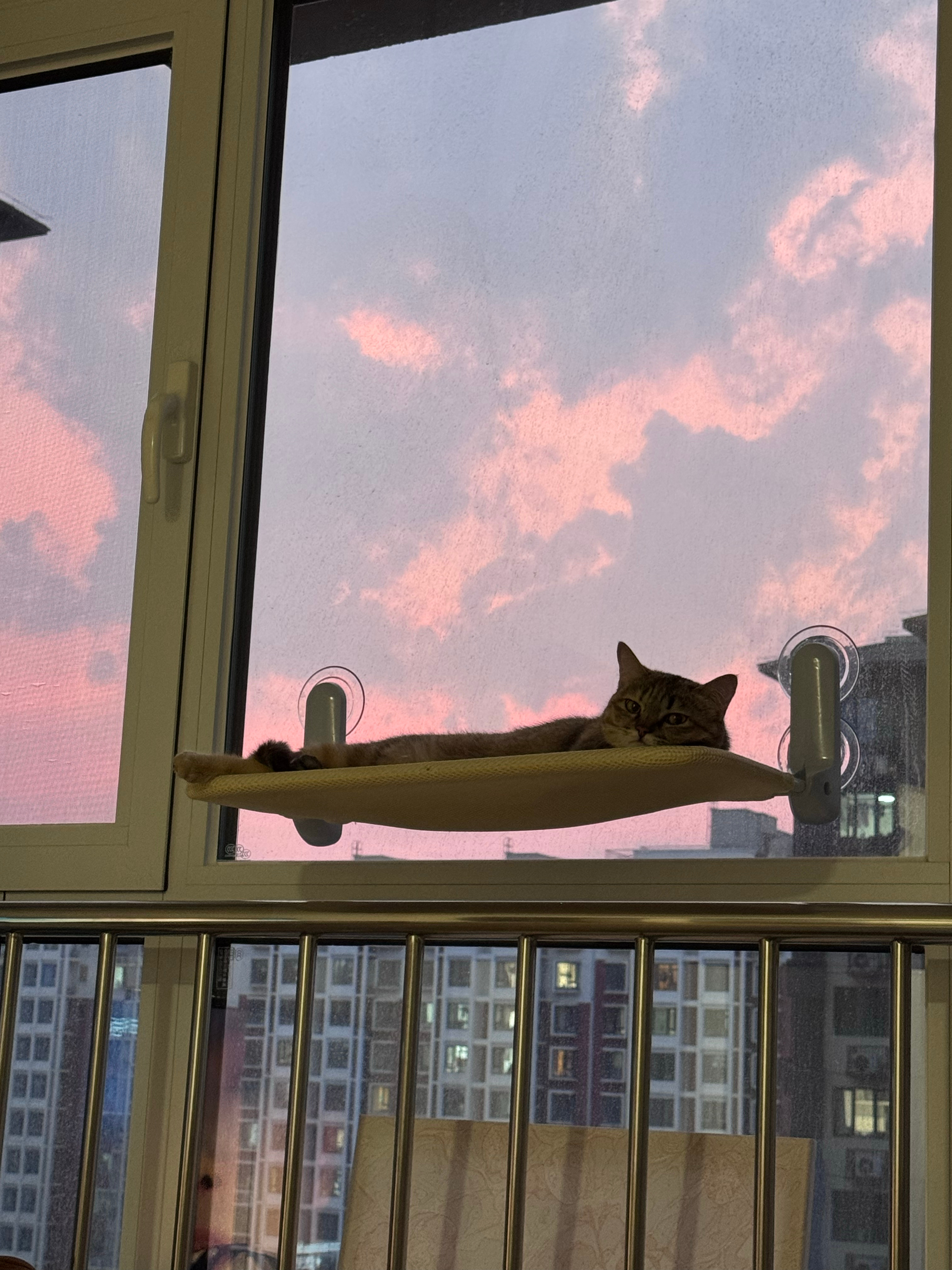 北京的天黑的好慢 