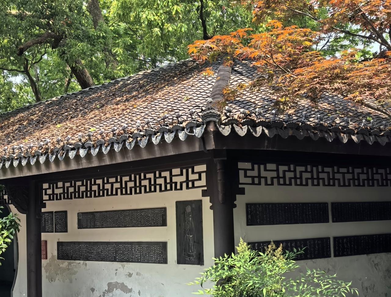 苏堤上的东坡书碑