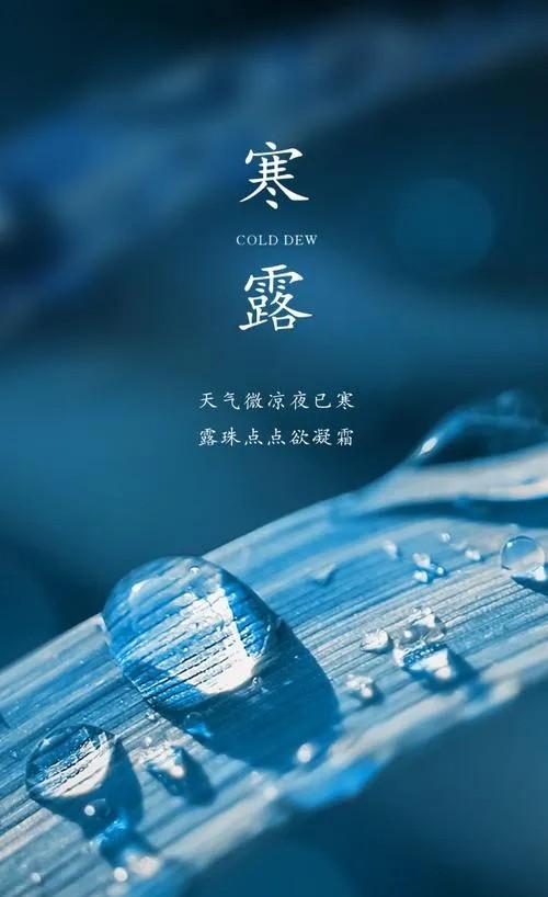 这深秋的寒露真是让人一下子感觉到了冷，等到露水都结成冰了，秋天也就快过去了，冬天
