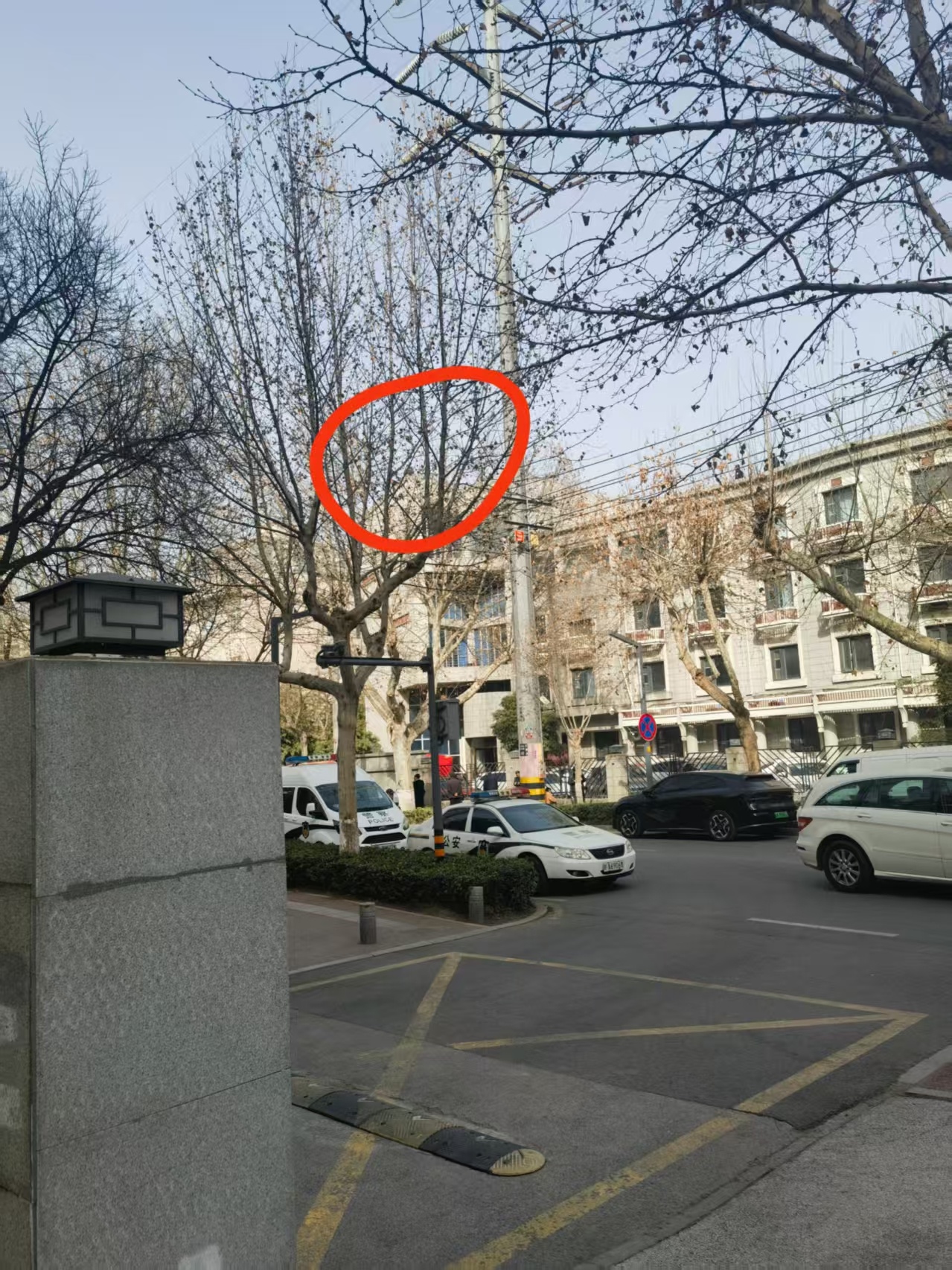 要点钱不容易，楼顶上爬满了，也是逼得没有办法，2021年的工程款到现在还付不出来