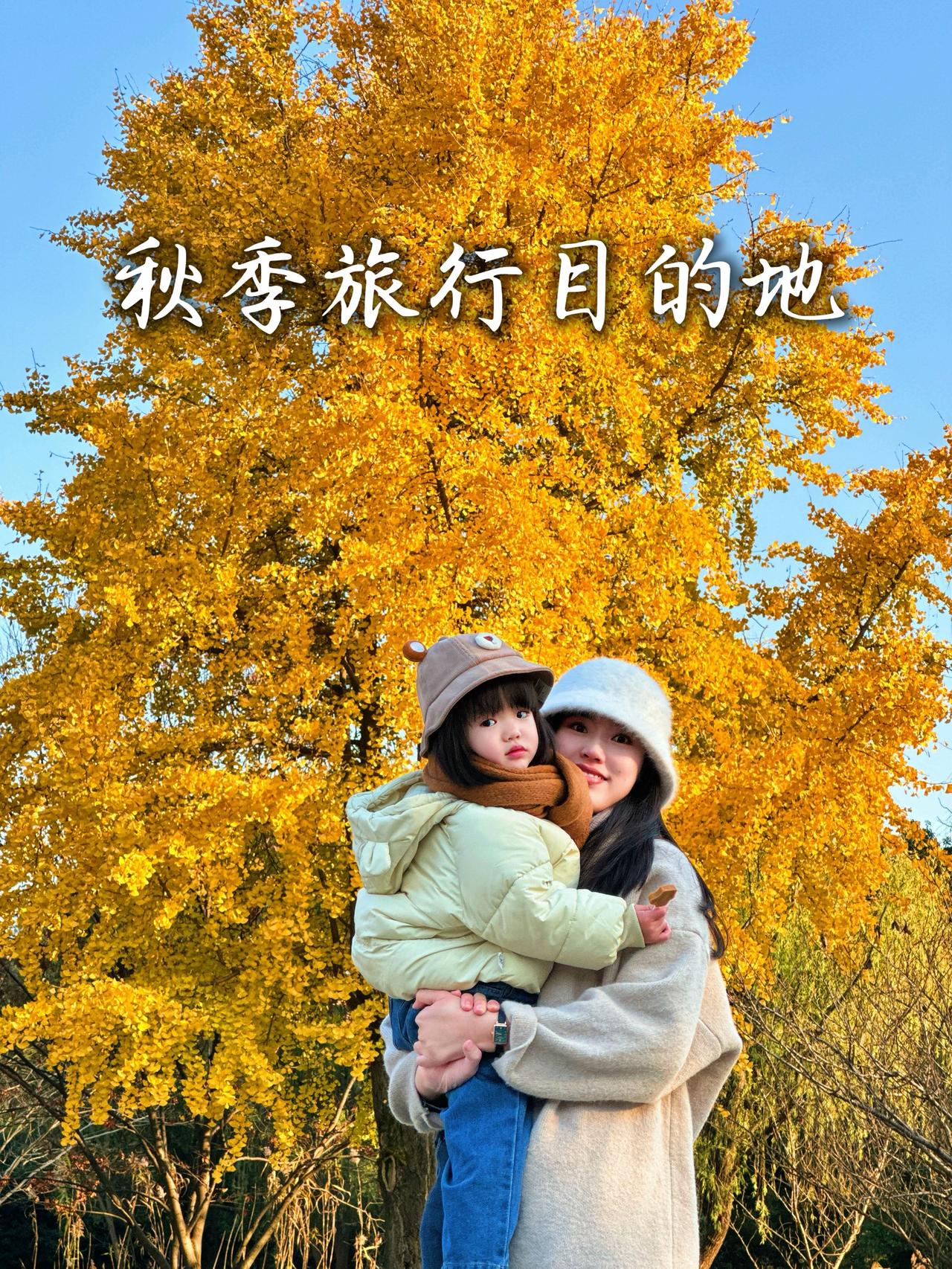 秋天是最适合旅行的季节。暑假结束，景区人少了价格低了，体验感比暑假好太多了。
@