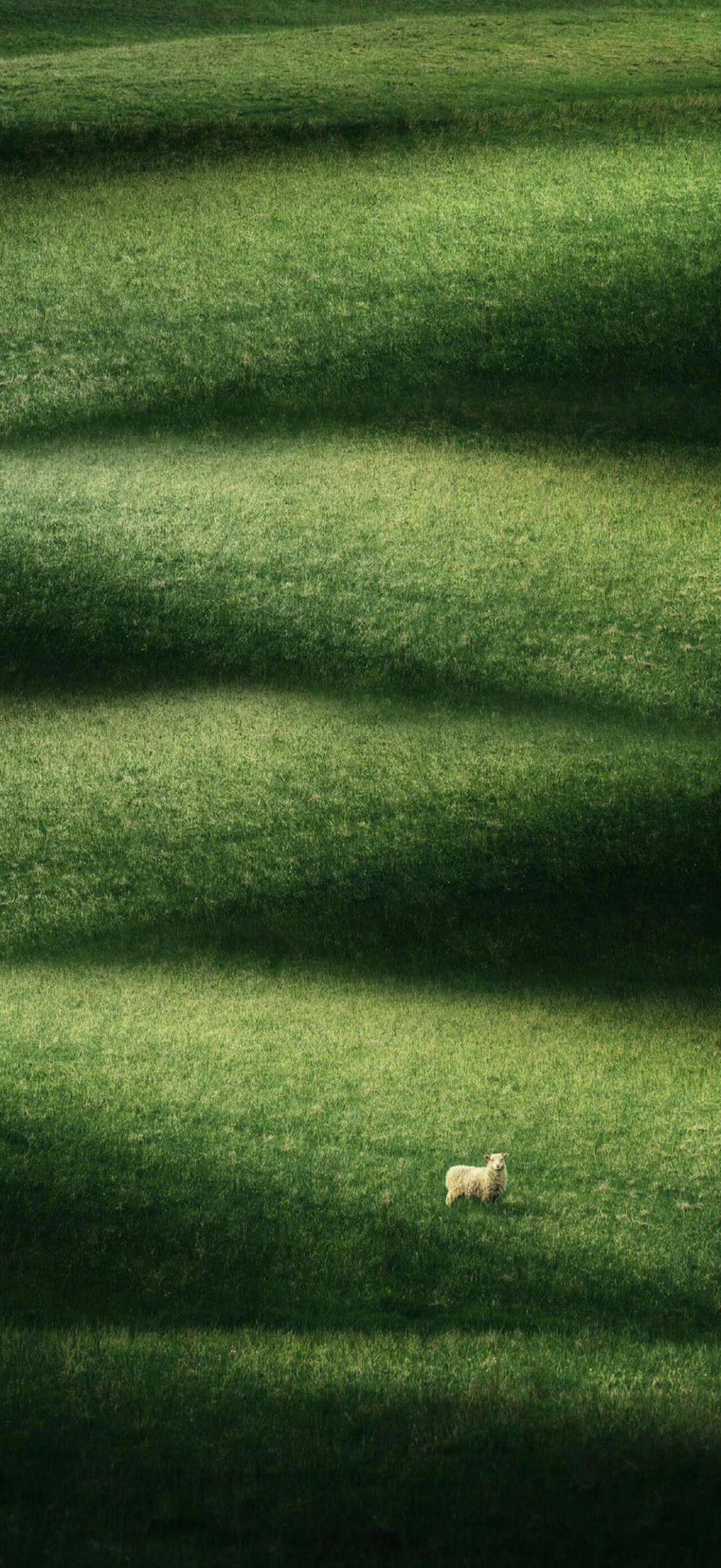 我们要继续前行，就必须让往事耗尽。——诺特博姆《众灵日》早安