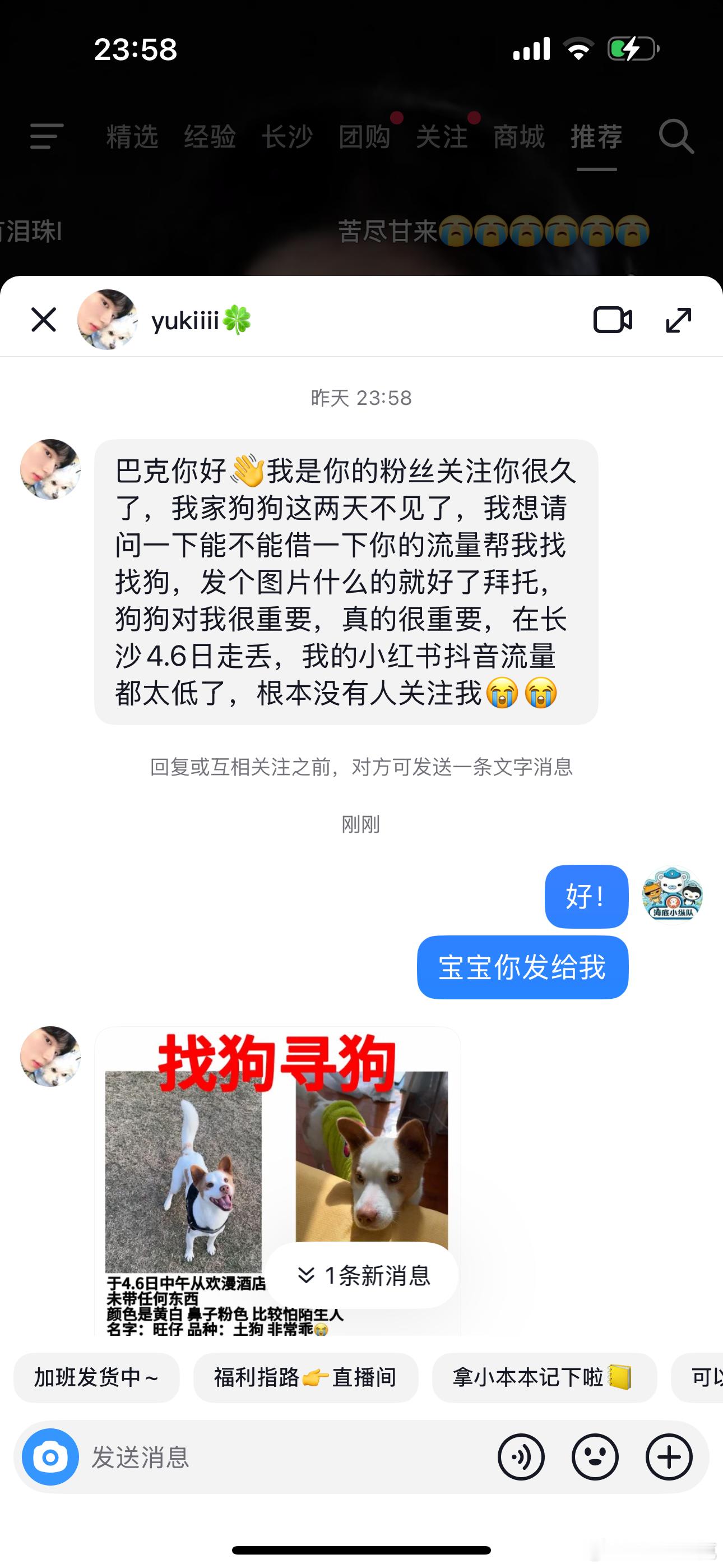 长沙的宝宝有看到狗狗联系她！！ ​​​