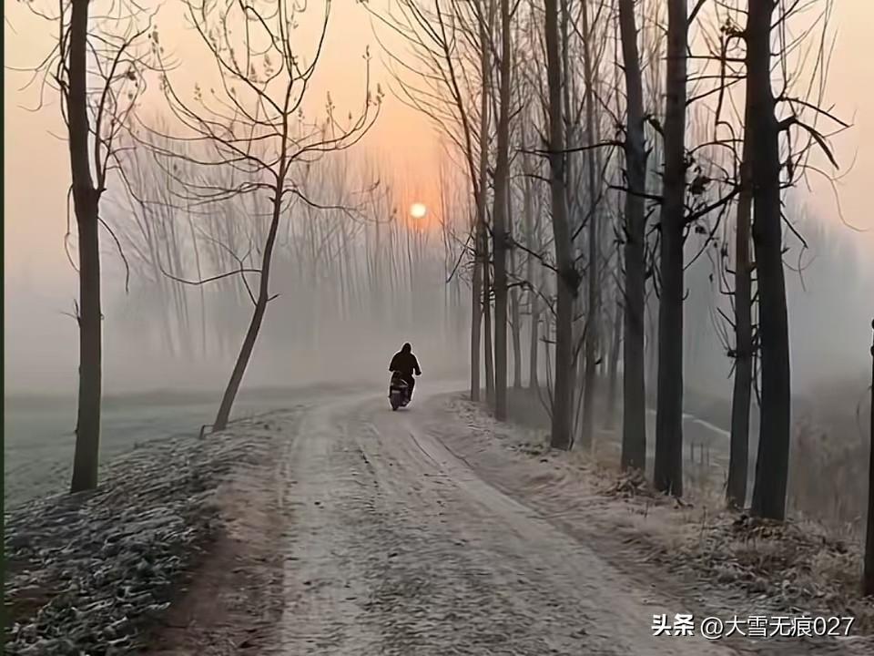 从省发改委一号到杭二，这跨度不小啊，妥妥的重用，虽不比火箭式，但也算进步神速了吧