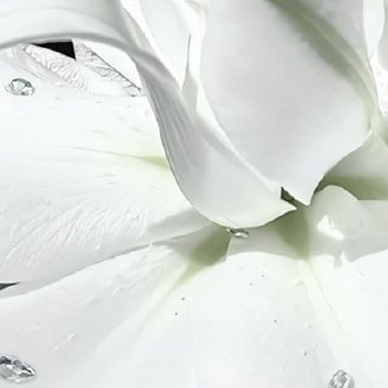 阳光信用‎阳光‎信用 ‎每日一善 拥有一颗安闲自在的心，一切随缘，顺其自然，不怨