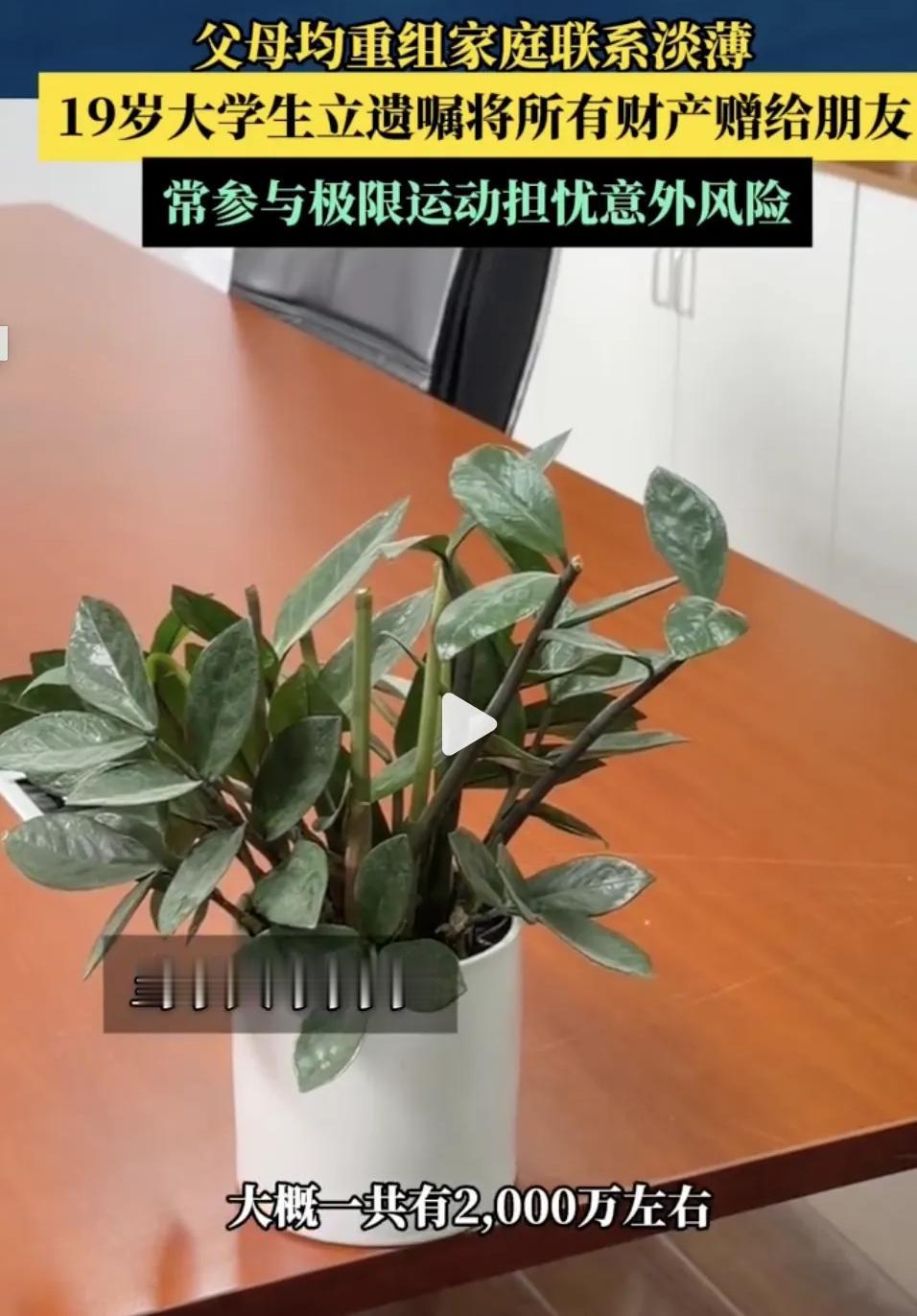 上海，19岁大学生，父母早年离异又各自再婚，平时对他日常照顾较少，亲子关系淡薄，