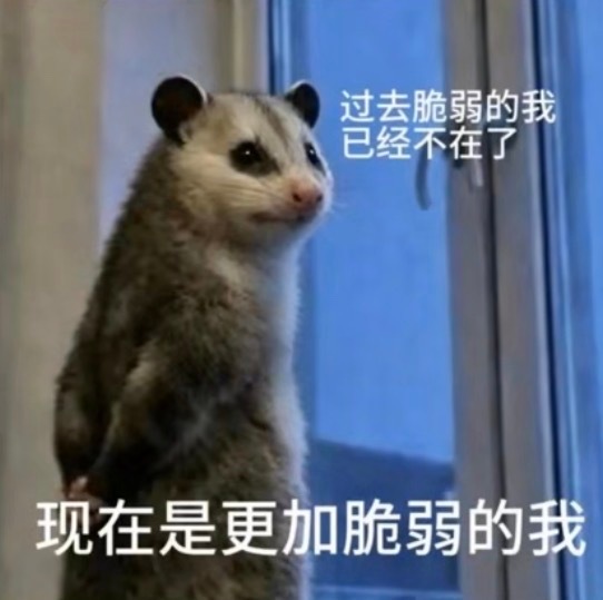大家晚安～～希望明天有点正经物料～～ 