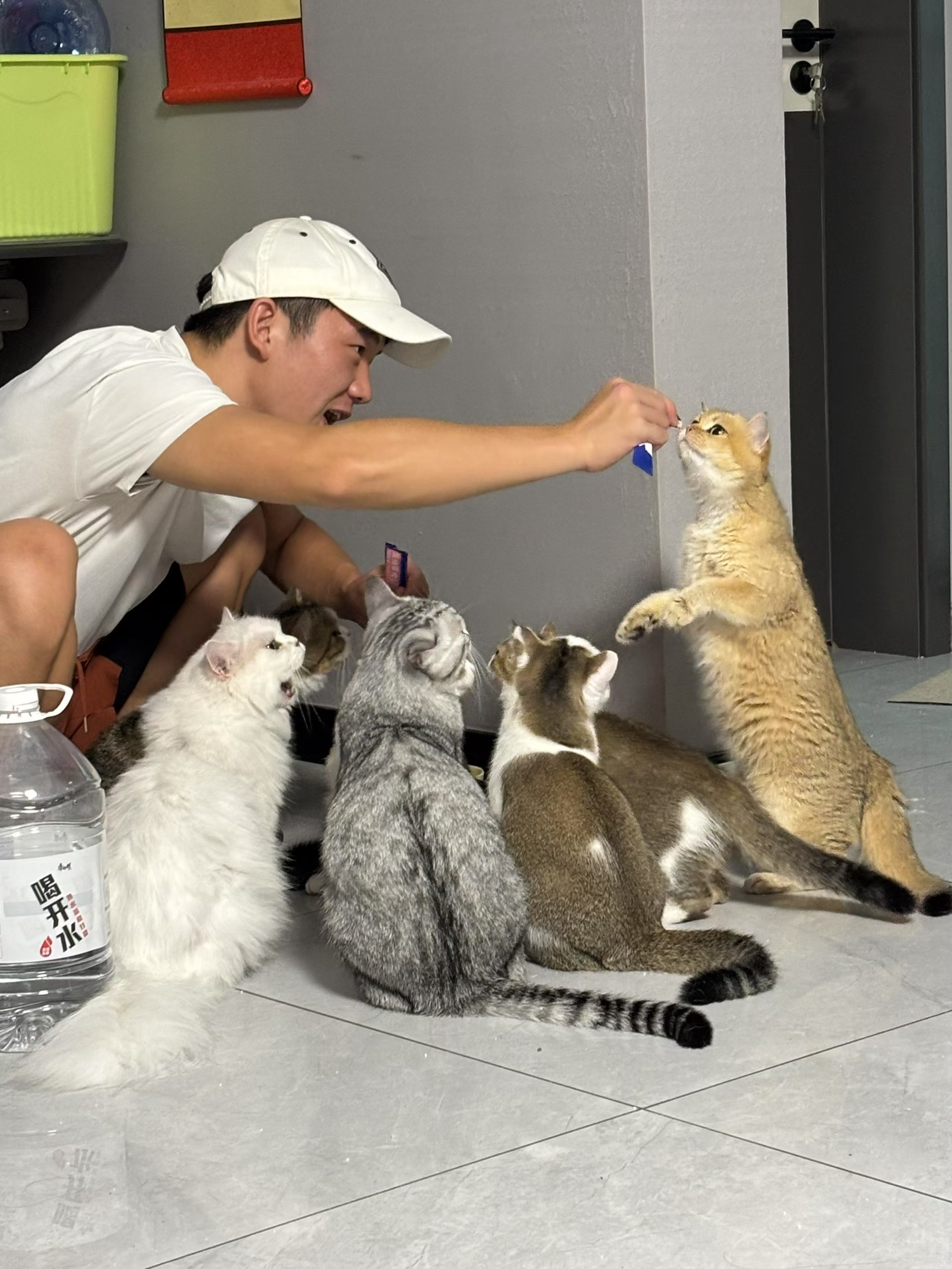 最近忙碌的很，但很充实，幸福❤️你们呢各位？ ​​​