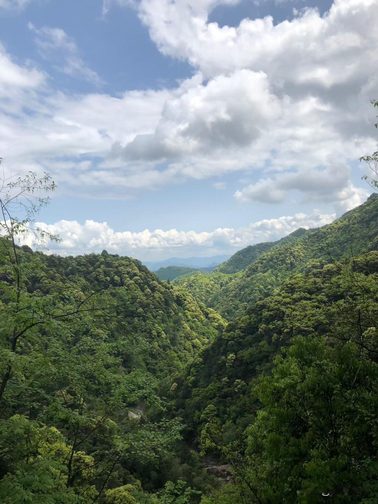 【小对联】
上：云情雨意；
下：……？