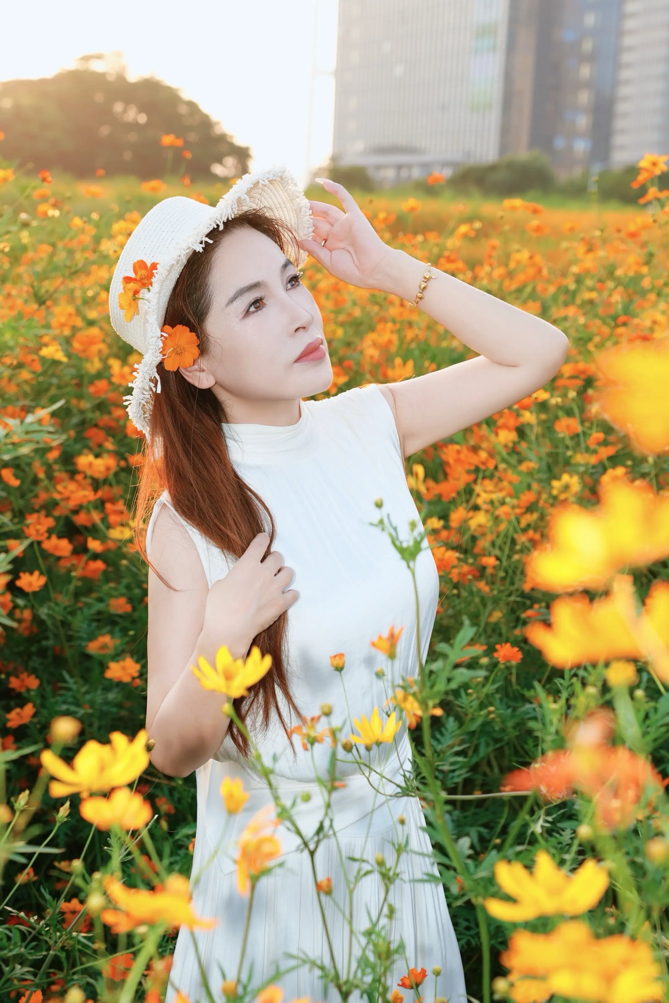沙田硫华菊花海逆光太美了📷。