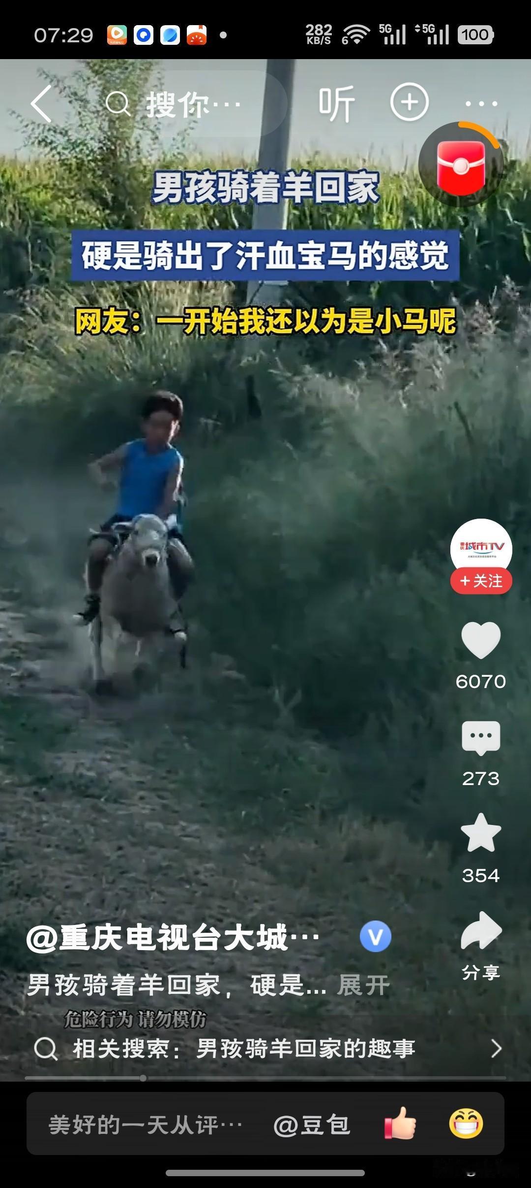 男孩骑羊骑出了汗血宝马的感觉“别人骑羊是闹着玩，这孩子骑出了策马扬鞭的魂——羊跑