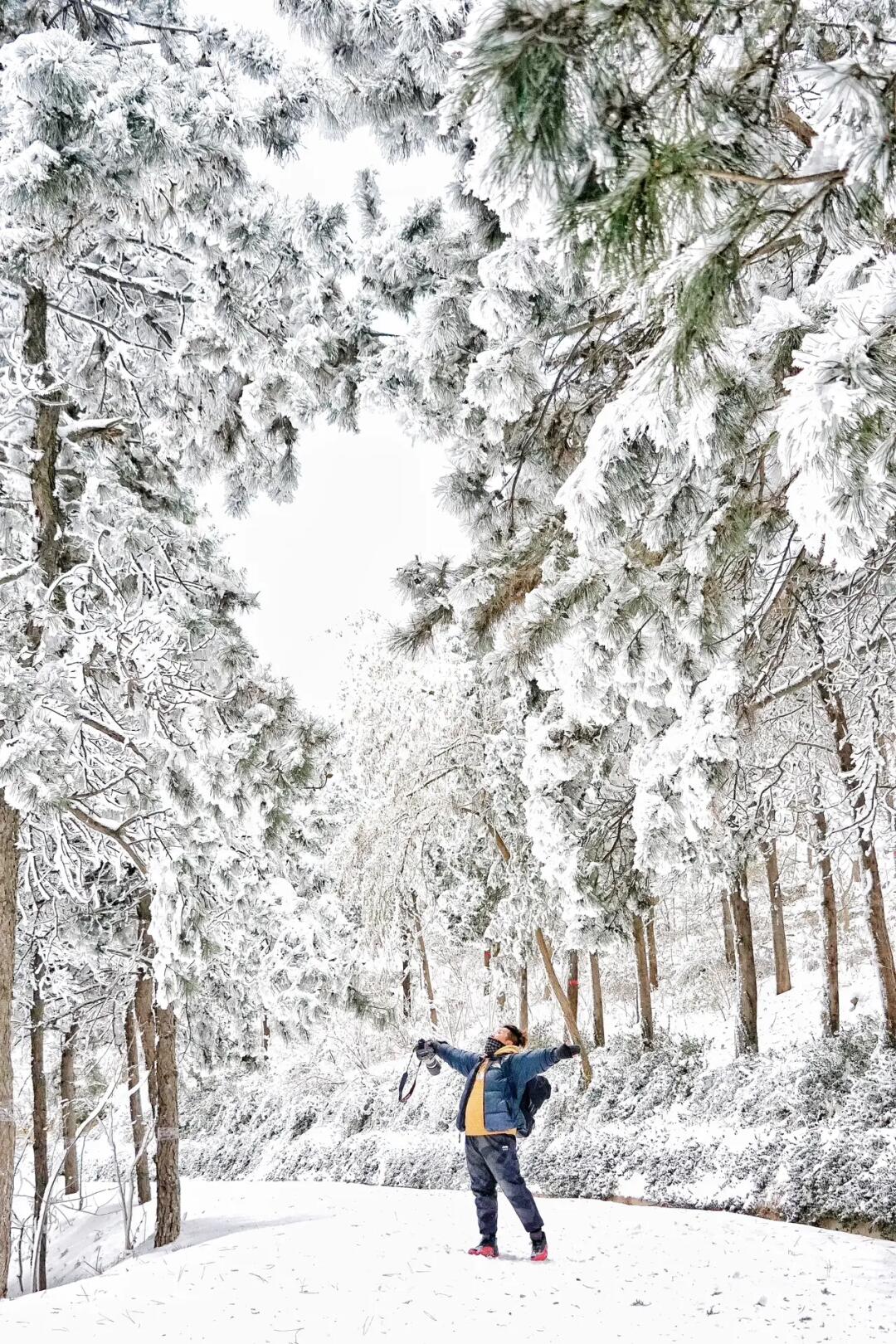 北京雪后地铁直达“雾凇”别那么远桦皮岭啦❄
