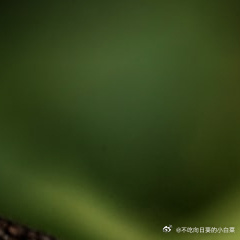 每日一善🌹阳光信用有时候你只需要的是，一个可以依靠的肩膀，一个懂你沉默的人，以